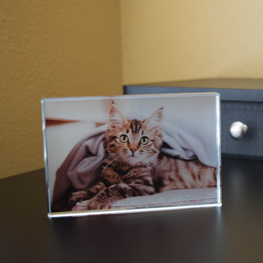 Custom Crystal Photo Block – Personalized Rectangle Picture Frame for Pet, Family, Logo or QR Code, Business Gift or Memorial Keepsake